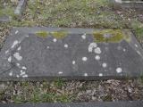 image of grave number 569949